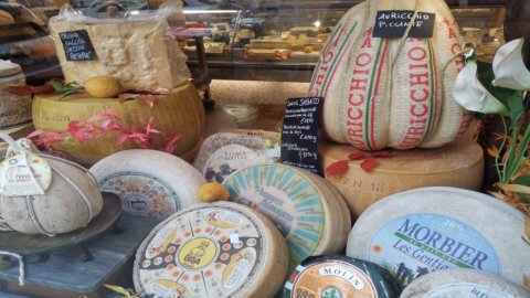 Produits laitiers et fromages : contre-ordre, ils contiennent des substances utiles contre le cholestérol