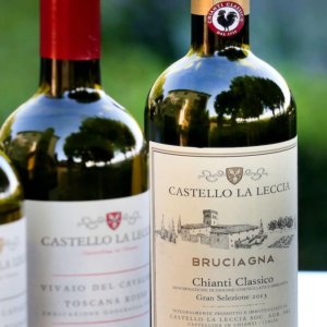 葡萄酒：Bruciagna，来自 Castello La Leccia 的大量精选