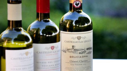 Vinos: Bruciagna, una gran selección limitada de Castello La Leccia