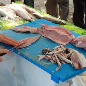 Pește de lac: Piemontul se concentrează pe o relansare gastronomică și productivă