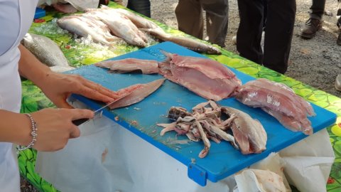 Pescado de lago: Piamonte apuesta por un relanzamiento gastronómico y productivo