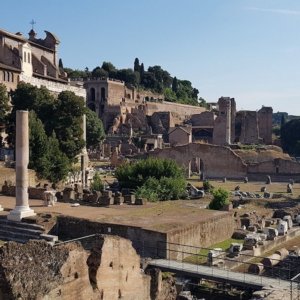 Archeologia e sostenibilità, a Roma torna il vino sul foro Palatino