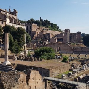 Arkeoloji ve sürdürülebilirlik, şarap Roma'daki Palatine forumuna geri dönüyor