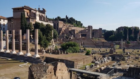 Archeologia e sostenibilità, a Roma torna il vino sul foro Palatino