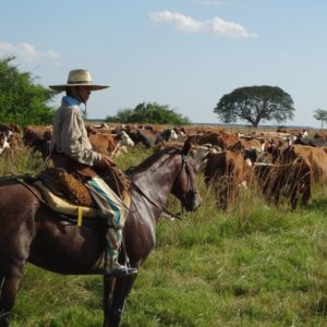 Argentinien, explodierende Inflation: Die Fleischblase platzt