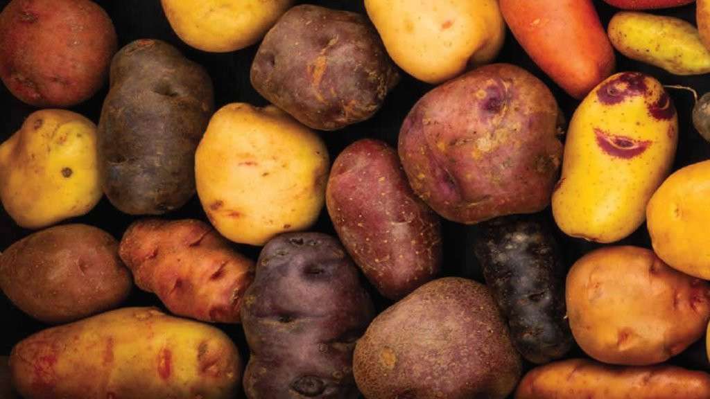 Ancient potatoes from the Alps