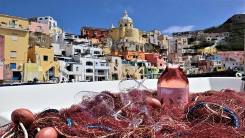 Derniers vins rosés à la mode : les 50 meilleurs vins d'Italie dans le guide en ligne