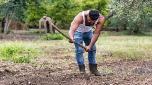 giovane agricoltore lavoro nei campi