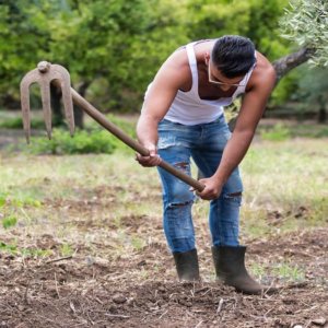 Trabajo: más de 526 contrataciones previstas en septiembre