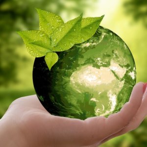 Transizione ecologica, Intesa Sanpaolo lancia “In action Esg Climate”: in palio 500 mila euro per imprese italiane