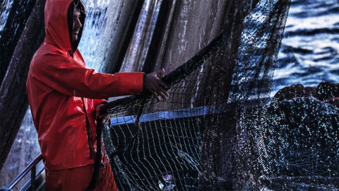 Pesca: via libera alla “Zona economica esclusiva” dell’Italia