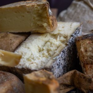 Riparte Cheese: tutti a Bra a settembre per i formaggi top di gamma