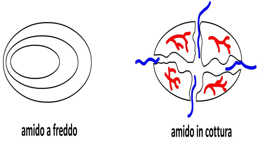 amidon de jointure