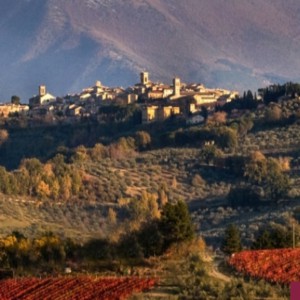 Vino: per l’anteprima Sagrantino doppio tasting, in presenza e a distanza per l’estero