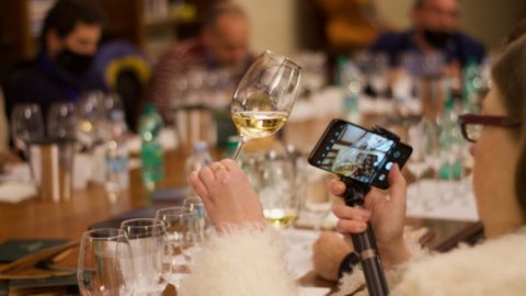 Wurzeln des Südens: Die Wein- und Ölmesse kehrt zurück ins Publikum