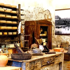 Battipaglia'da bufaloların ve erkeklerin dünyasını anlatan bir Mozzarella Müzesi