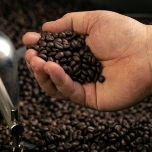 Coffee: Specialty Academy se deschide în Aprilia, un centru de formare pentru profesioniști