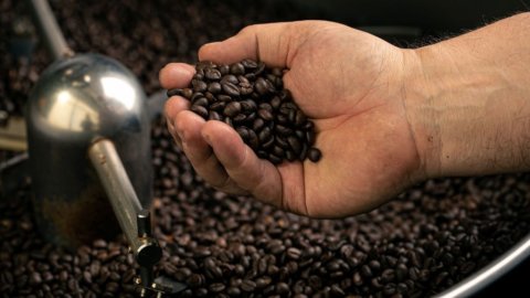 Coffee: Specialty Academy открывается в Aprilia, учебном центре для профессионалов