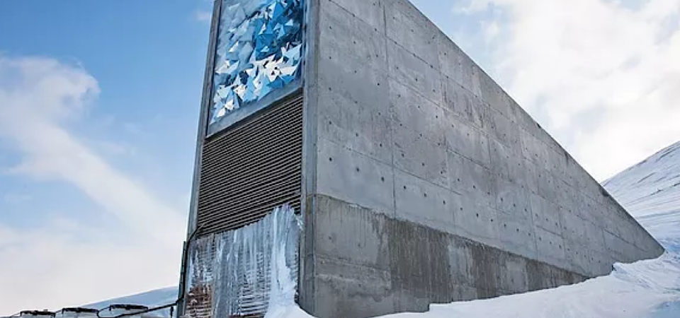 Global music Vault