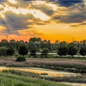 Vini delle Sabbie：玫瑰红 Ursiola 是 Comacchio 的象征，限量生产