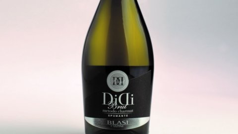 Vin : dans les caves de Didi, un boucher à Umbertide passionné par la vigne