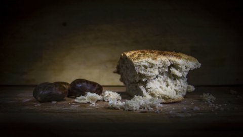 Bran, proyek roti inovatif oleh Vladimir German: tepung olahan dilarang