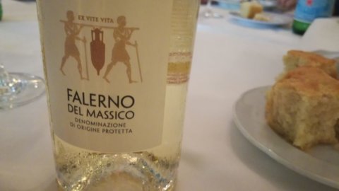 Vinhos: Falerno del Massico um lembrete da história da Campania Felix