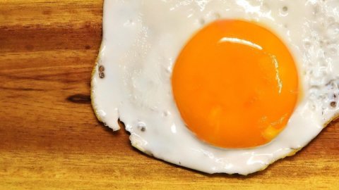Next Egg 1.0: arriva l’uovo vegano dal Giappone