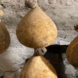 Brânzeturi: Caciocavallo podolico vrea să fie DOP