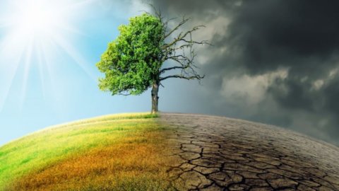 Perubahan iklim, Bank of Italy: “Risiko di atas segalanya untuk pertanian dan pariwisata. Hingga 9,5% lebih sedikit PDB”