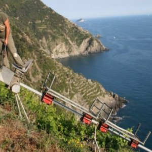 Mondiale Vini Estremi: un giovane viticoltore piemontese premio Cervim Futuro 2021