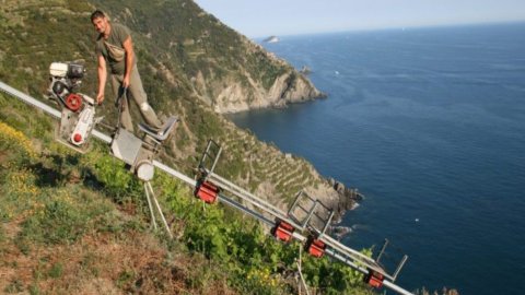 Extreme Wine World Championship : un jeune vigneron piémontais récompensé Cervim Futuro 2021