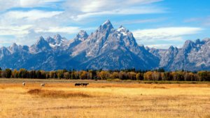 Jackson Hole