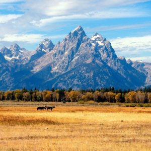 Bolsas de valores, 24 de agosto, notícias de última hora: todos os holofotes na cúpula dos banqueiros centrais em Jackson Hole e Nvidia corre