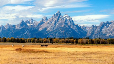 Jackson Hole al via, da 40 anni si incontrano qui i grandi della terra. Ecco tutti i numeri e le curiosità dell’evento