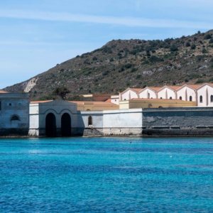 FISHTUNA: في Favignana مهرجان بين سمك التونة والفخاخ والاستدامة وتنمية السياحة