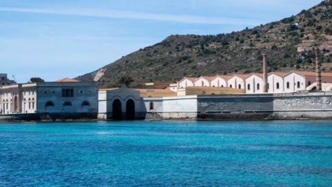 FISHTUNA: In Favignana a festival between tuna and traps, sustainability and tourism development