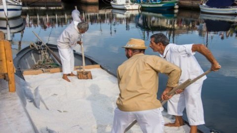 Sapore di Sale: di Cervia festival emas putih yang diproduksi oleh Slow Food