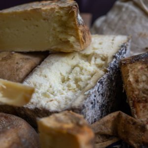 Cheese in Bra: a cortina sobe sobre a magia das pastagens de montanha e dos queijos de leite cru