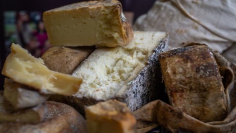 Cheese a Bra: si alza il sipario sulla magia degli alpeggi e dei formaggi a latte crudo