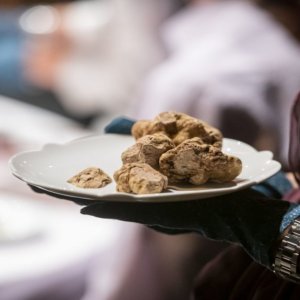 Truffle putih alba: dari 9 Oktober hingga 5 Desember Pameran didedikasikan untuk keberlanjutan dan perlindungan lingkungan