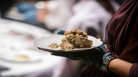 Tartufo bianco d’Alba: dal 9 ottobre al 5 dicembre la Fiera all’insegna della sostenibilità e della tutela ambientale