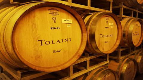 Picconero ، supertuscan لرجل الأعمال الإيطالي الكندي بقلبه في مزرعة الكروم في Chianti