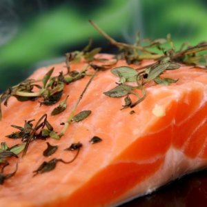 Arriva il pesce vegetale: tonno, gamberi e salmone a salvaguardia impatto ambientale