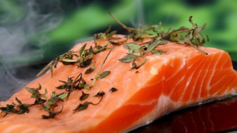 Arriva il pesce vegetale: tonno, gamberi e salmone a salvaguardia impatto ambientale