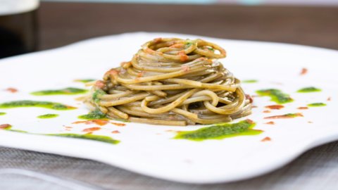 La ricetta di Salvatore Bottaro: spaghetti agli anemoni di mare e ricci, un’elegia Pantesca
