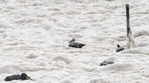 Вода на фотографиях с Зеленого фестиваля в Сан-Марино