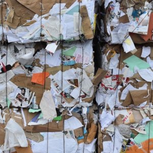 Reciclagem de papel: Itália entre os melhores países da Europa, apesar da burocracia e do boom das exportações