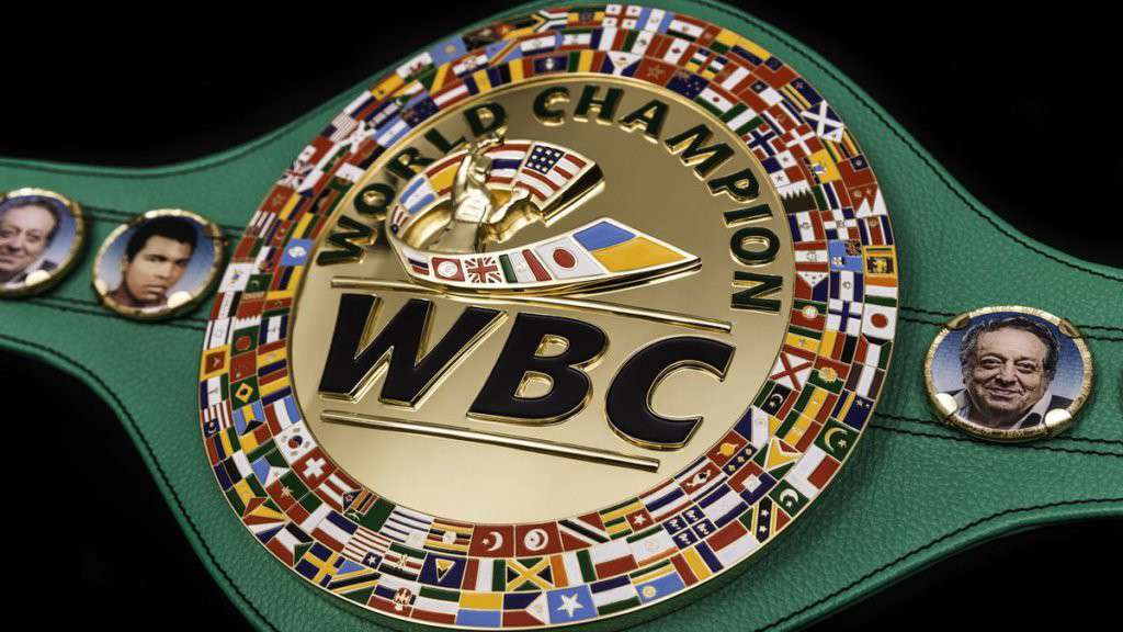 Campione Mondiale di Boxe