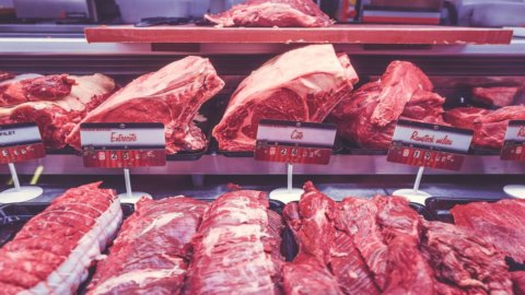 Synthetisches Fleisch ist nicht nur ein ethisch-tierisches Problem, sondern eine ökologische Notwendigkeit